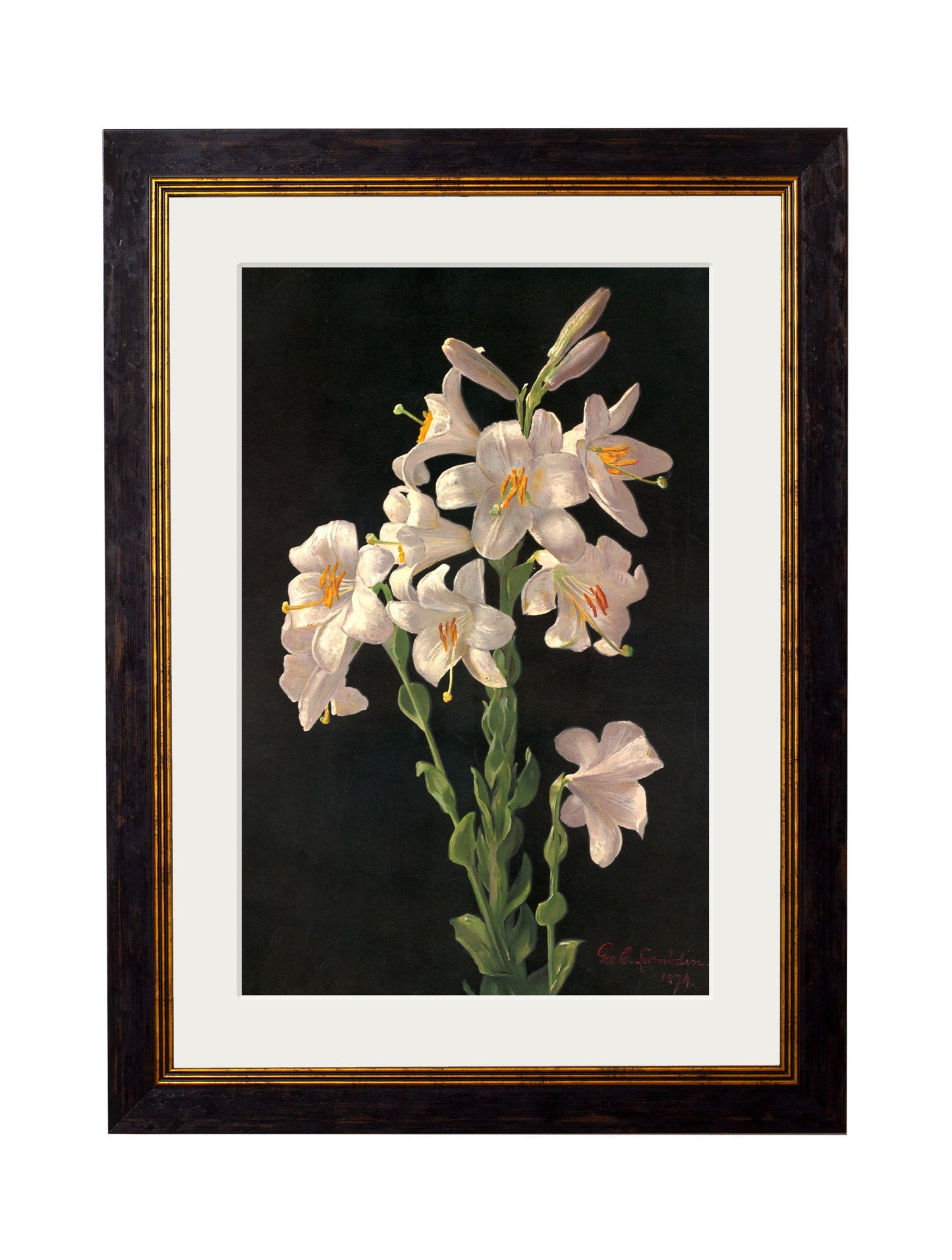 c.1874 George Cochran Lambdin Lillys styled view – Leya Buster Interiors