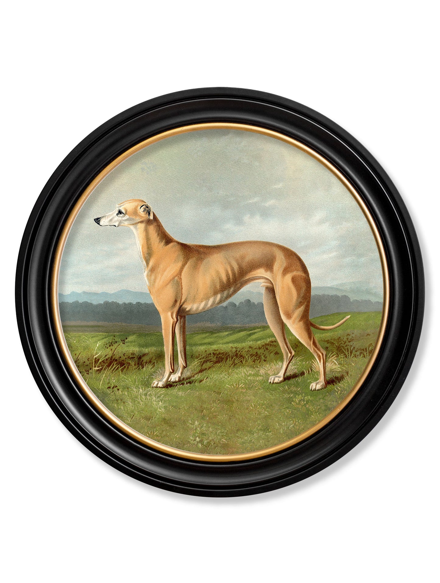 c.1881 Working Dogs – Round Frame styled view – Leya Buster Interiors