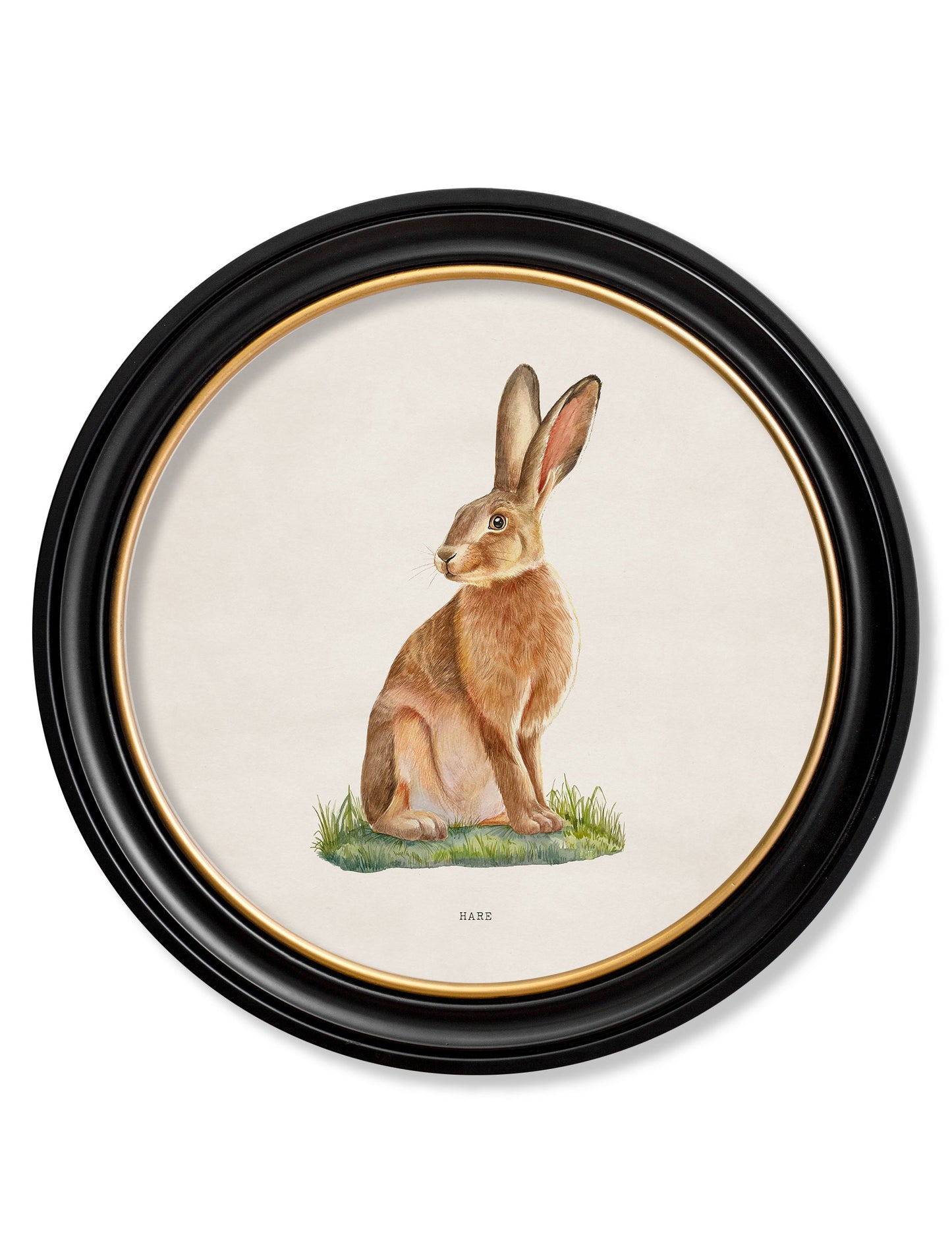 Hare – Round Frame detail – Leya Buster Interiors