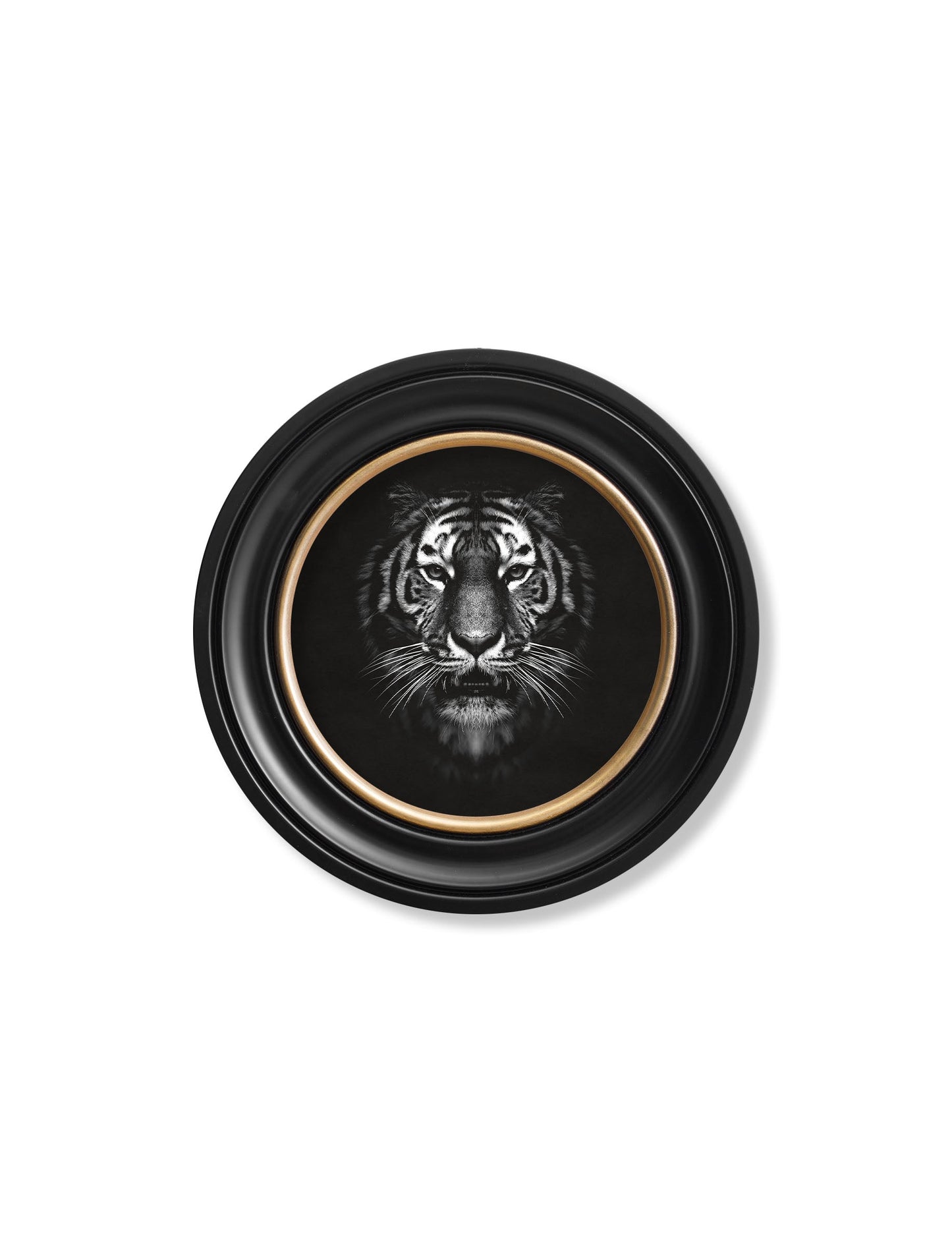 Wildlife Photography – Tiger – Round Frame styled view – Leya Buster Interiors