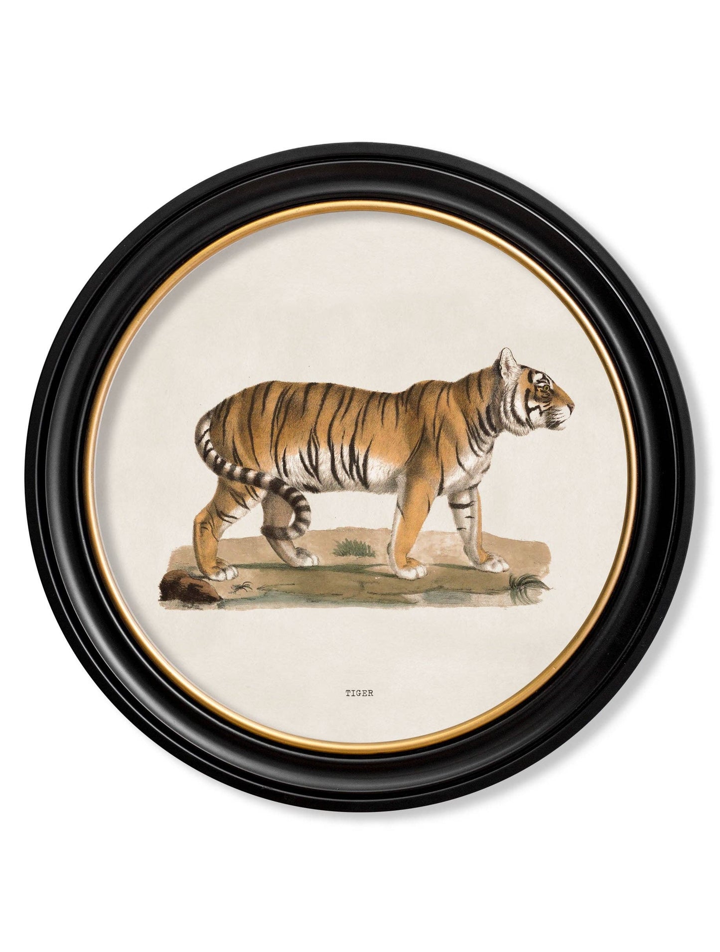 Tiger Round Framed Picture styled view – Leya Buster Interiors