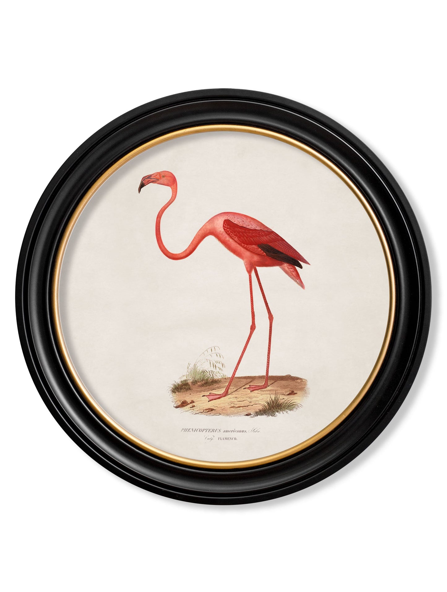 c.1830 Flamingo – Round Frame detail – Leya Buster Interiors