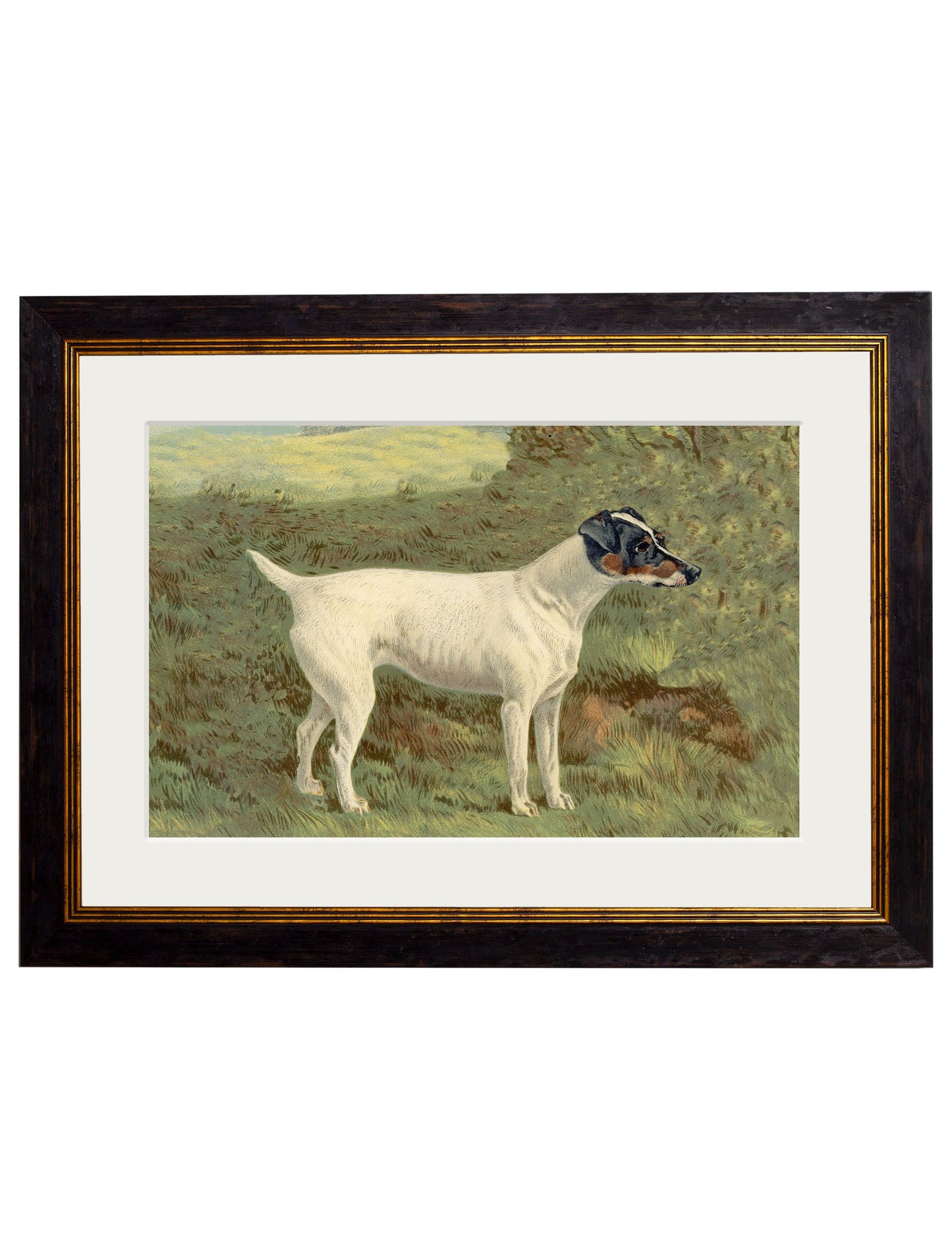 c.1881 Terriers styled view – Leya Buster Interiors