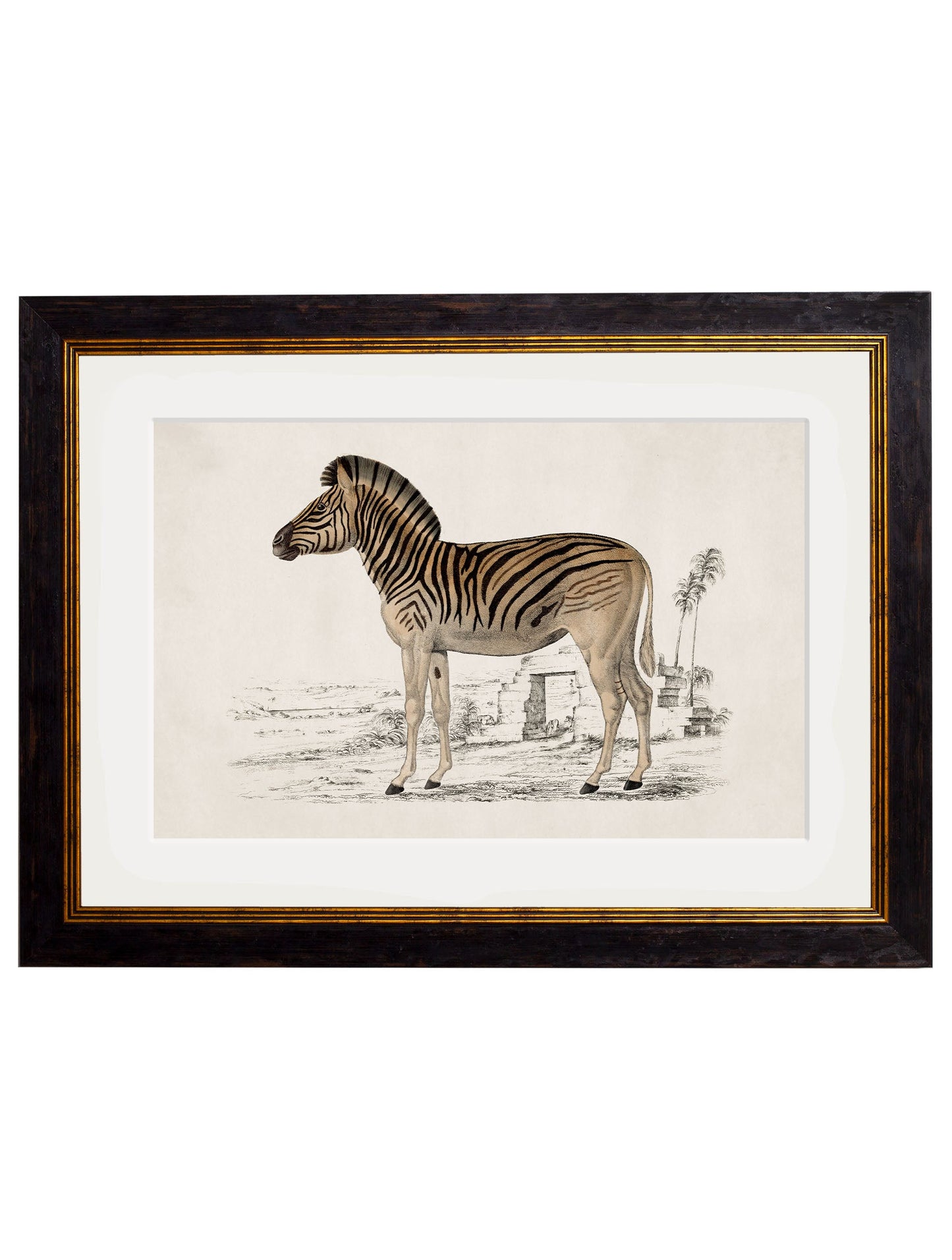 c.1774 Zebra detail – Leya Buster Interiors