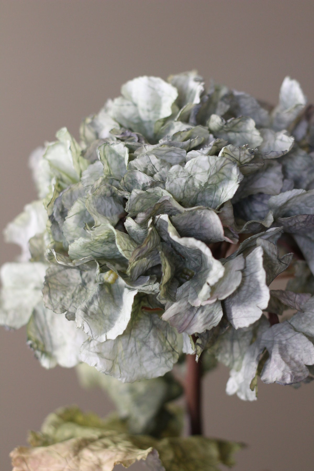 Rustic Hydrangea Stem – Moss Green alternative view for vase styling