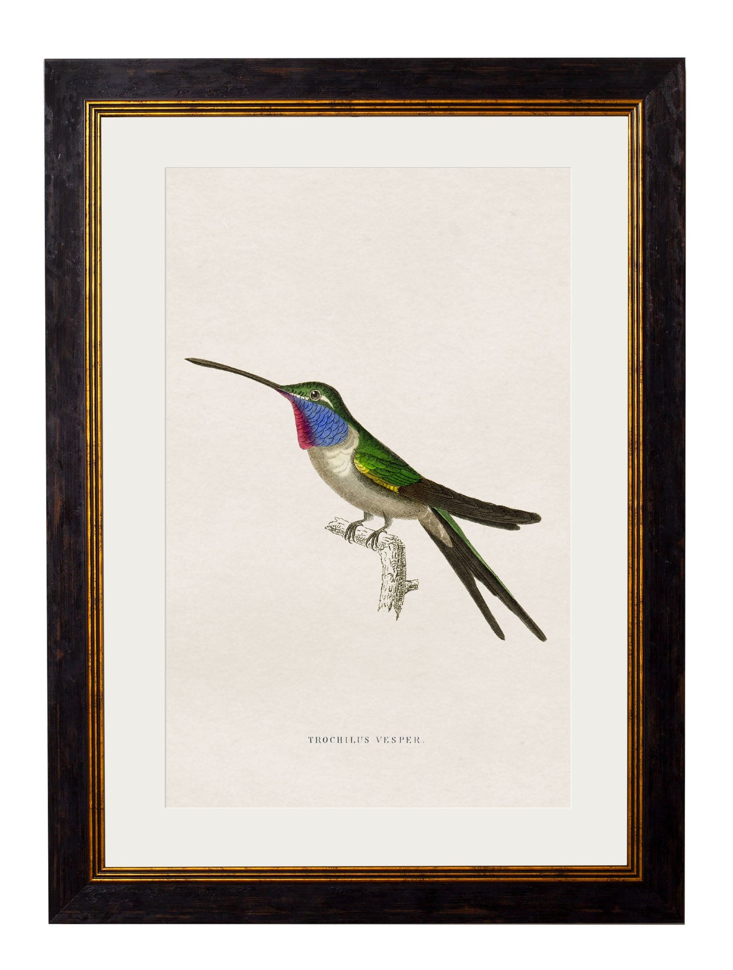 c.1833 Hummingbirds styled view – Leya Buster Interiors