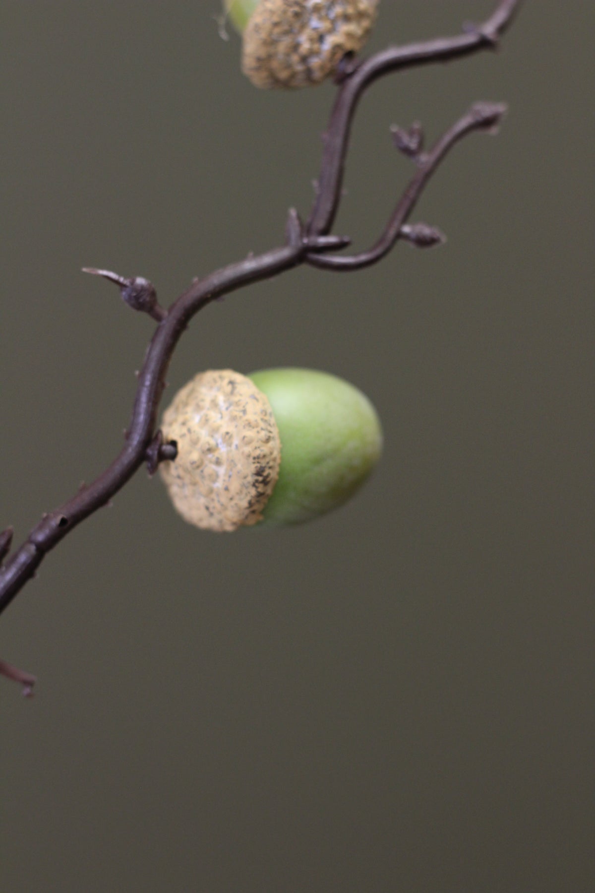 Woodland Acorn Branch – Green faux botanical branch for woodland-inspired styling