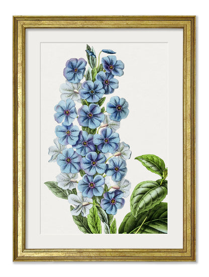Blue Floral Illustrations Set of 4 Prints styled view – Leya Buster Interiors