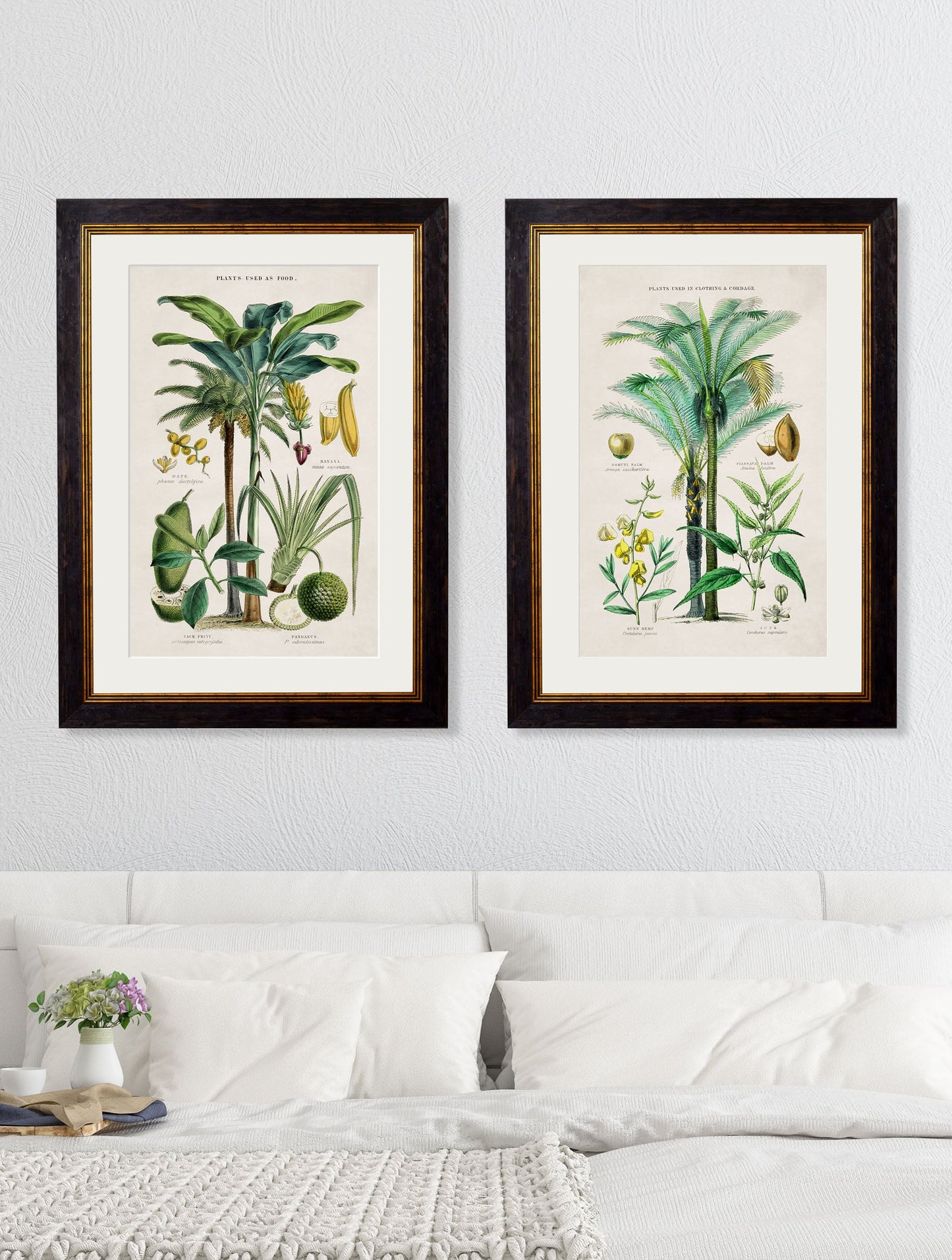 c.1877 Tropical Plants Used as Food and Clothing – framed wall art at Leya Buster Interiors