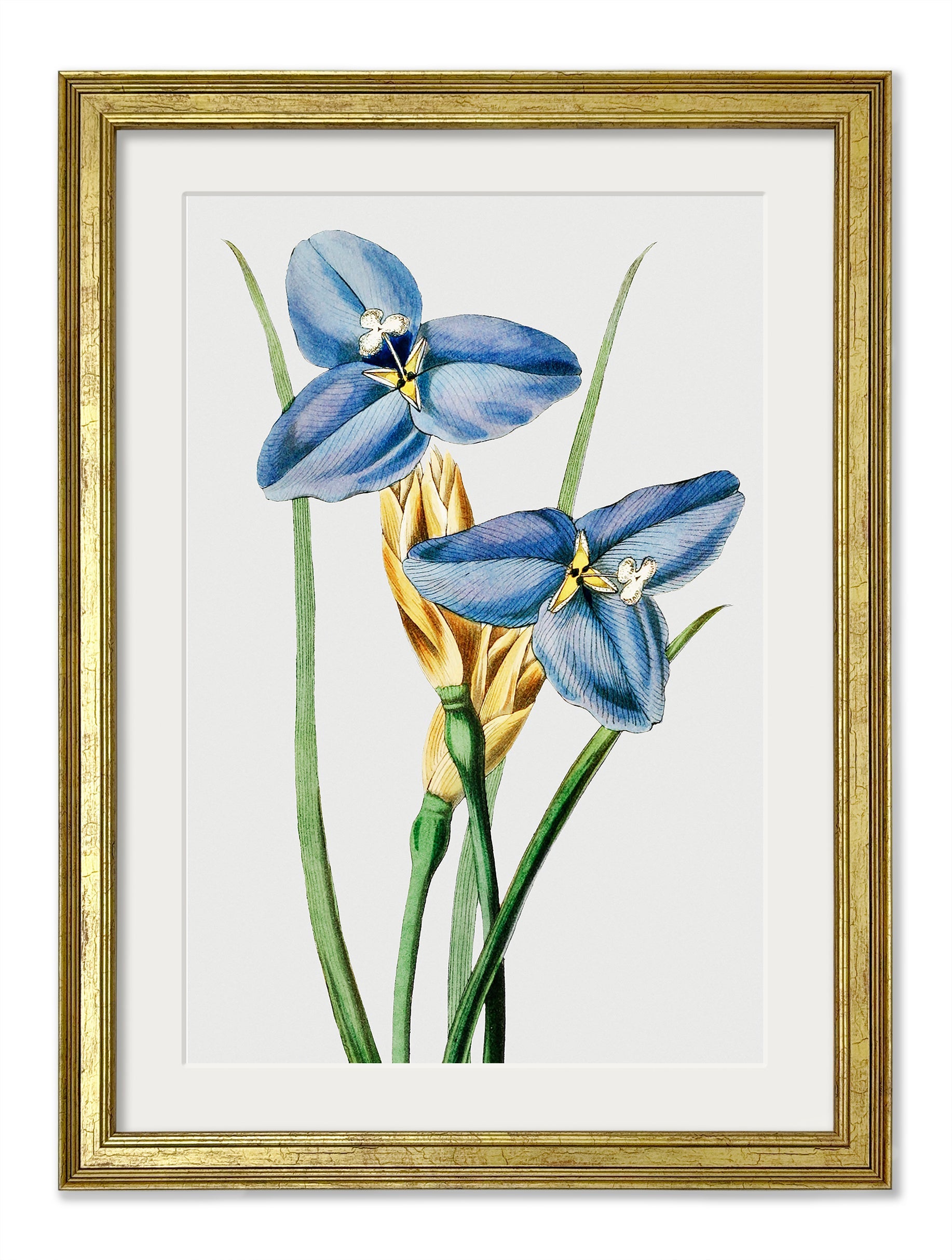 Blue Floral Illustrations Set of 4 Prints styled view – Leya Buster Interiors