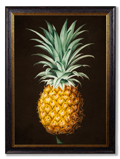 c.1812 Pineapple Study (Black) styled view – Leya Buster Interiors