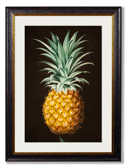 c.1812 Pineapple Study (Black) styled view – Leya Buster Interiors