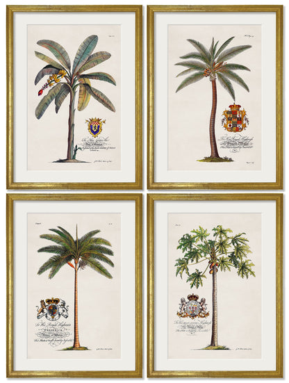 Studies of Palms styled view – Leya Buster Interiors