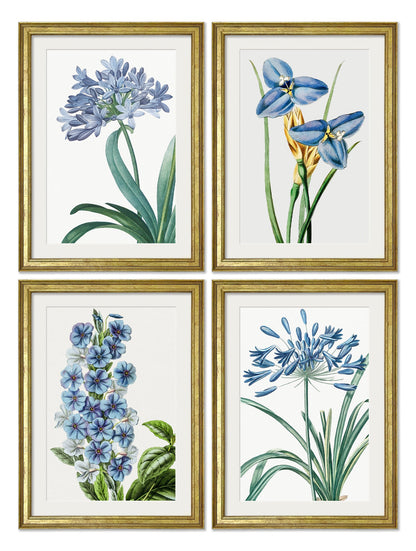 Blue Floral Illustrations Set of 4 Prints detail – Leya Buster Interiors