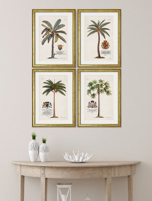 Studies of Palms – framed wall art at Leya Buster Interiors