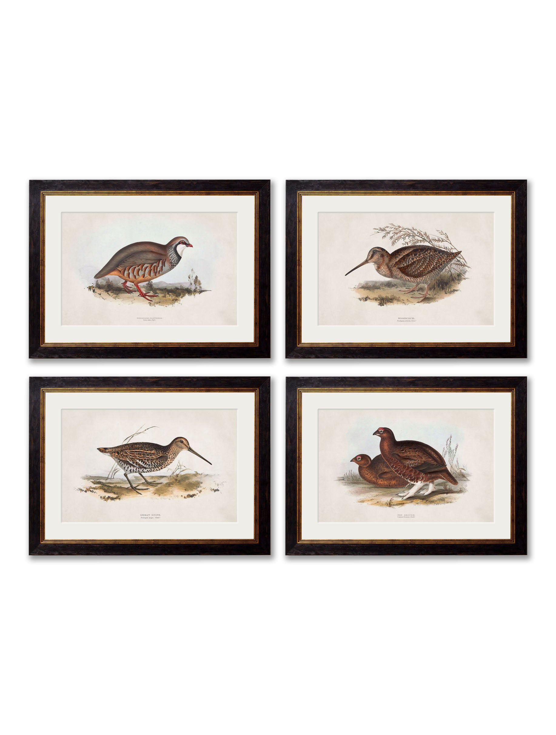 c.1837's British Game Birds detail – Leya Buster Interiors