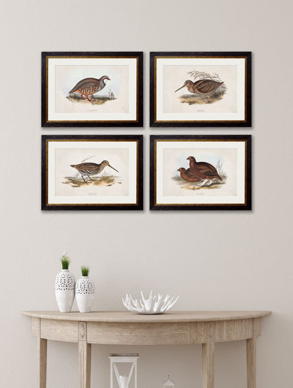 c.1837's British Game Birds – framed wall art at Leya Buster Interiors