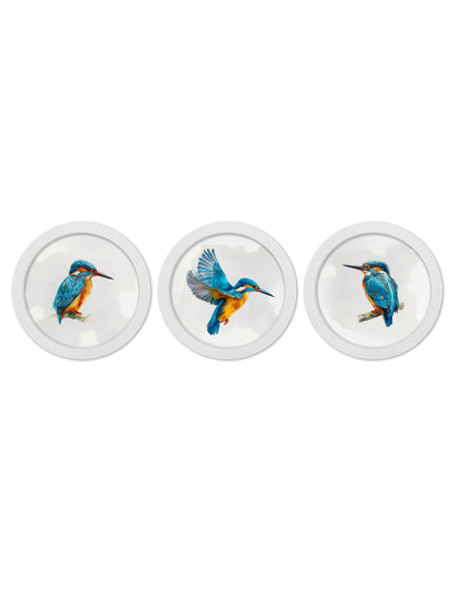 Watercolour Kingfishers – 30cm White Round Box Frame detail – Leya Buster Interiors