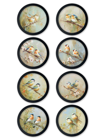 Garden Birds – 30cm Black Round Box Frame detail – Leya Buster Interiors