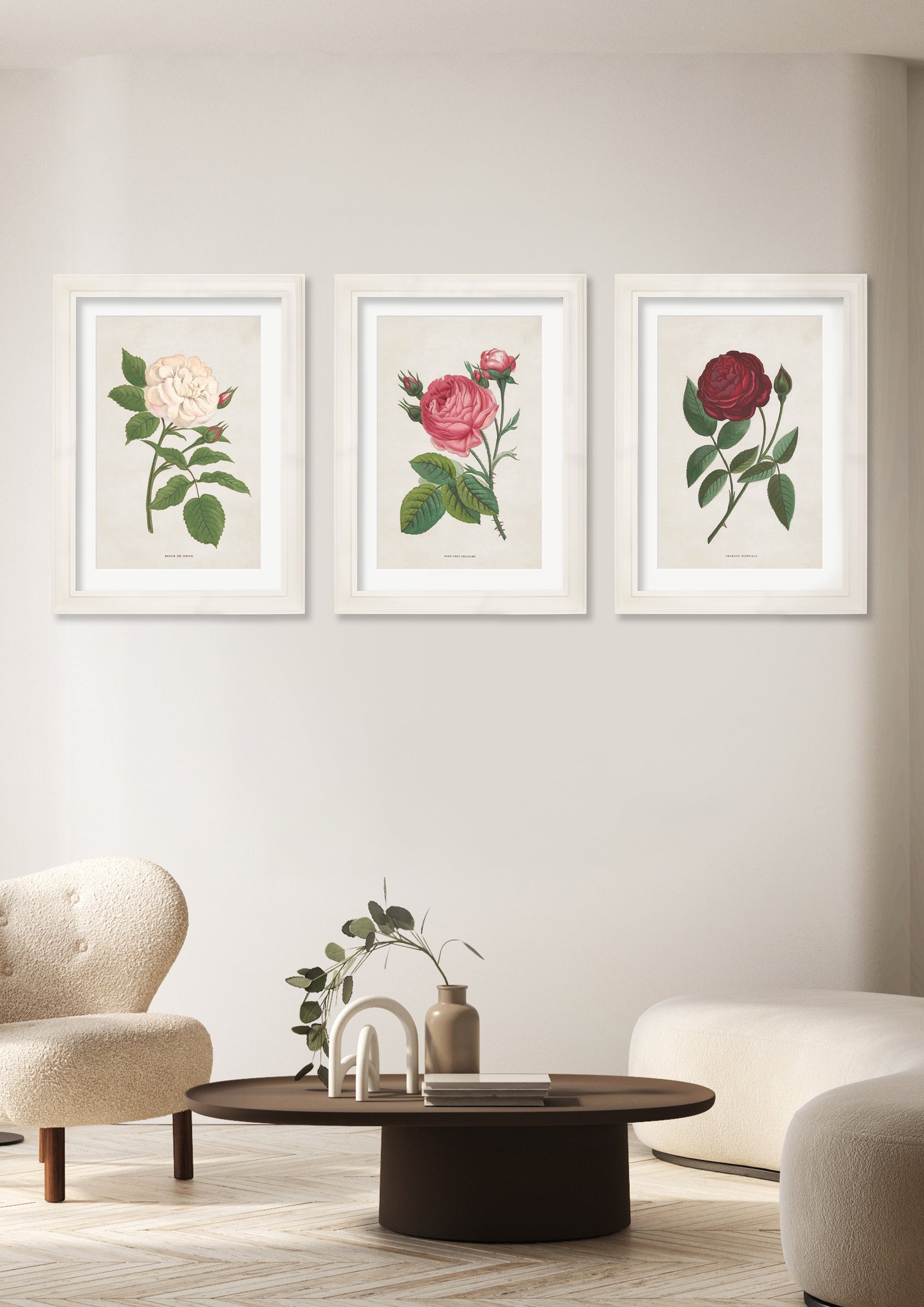 Rose Floral Illustrations – framed wall art at Leya Buster Interiors