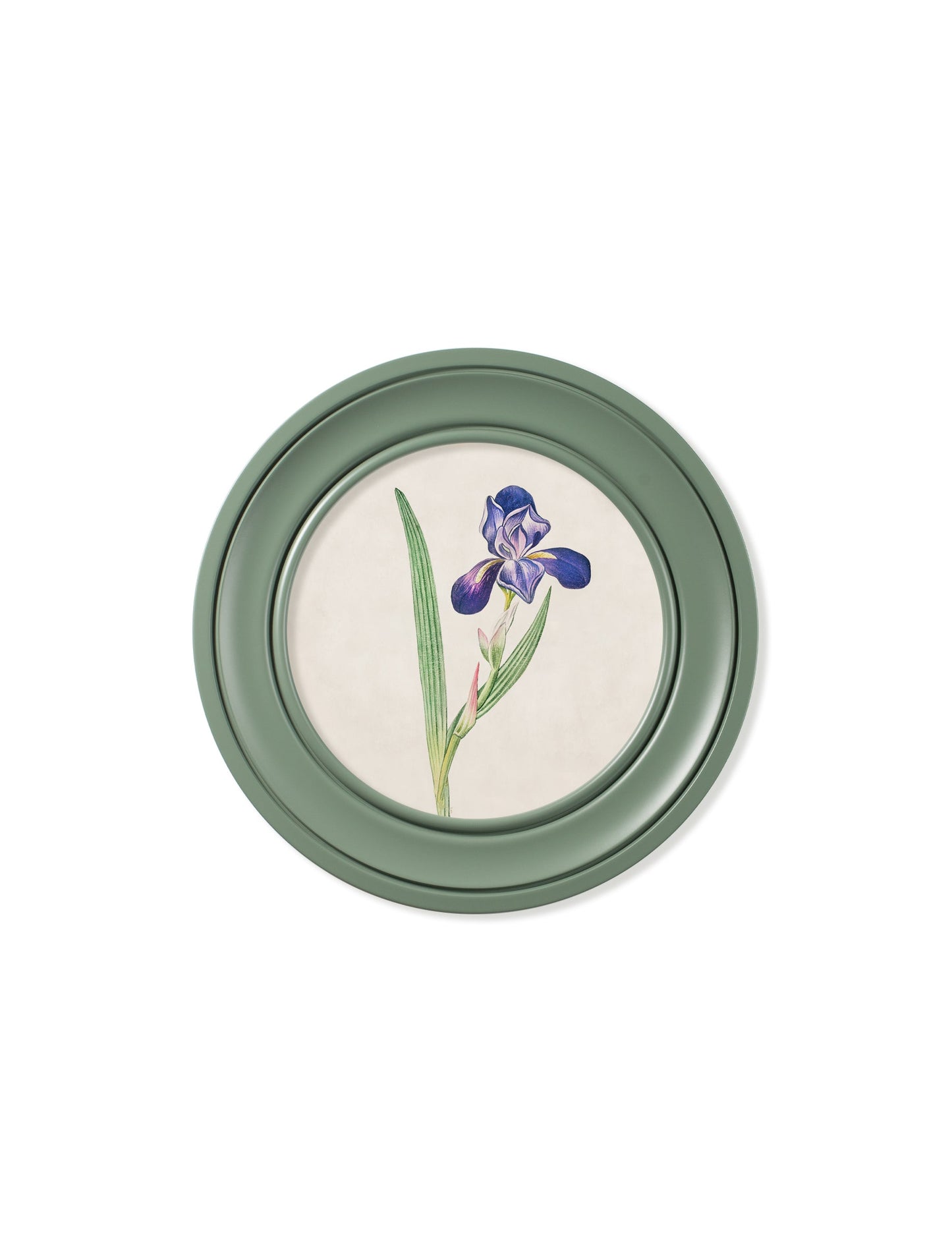 c.1780 Flowering Plants Round Frame Green styled view – Leya Buster Interiors