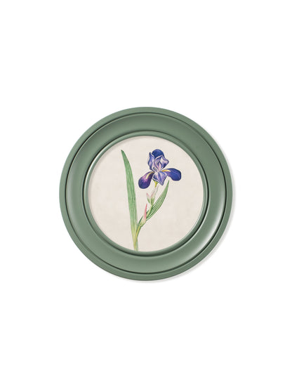 c.1780 Flowering Plants Round Frame Green styled view – Leya Buster Interiors