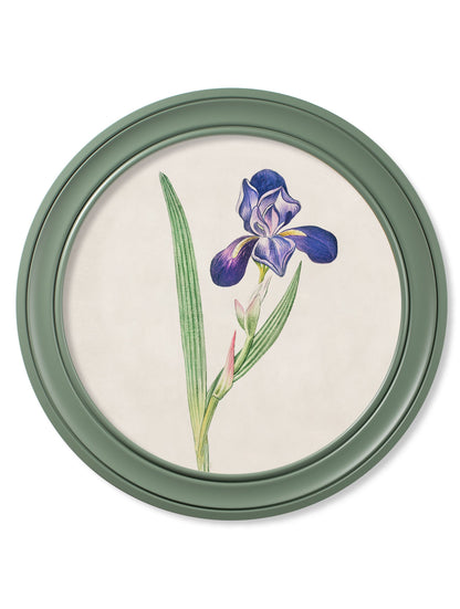 c.1780 Flowering Plants Round Frame Green styled view – Leya Buster Interiors