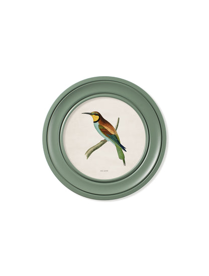 c.1870 Kingfisher and Bee Eater – Round Frame Green styled view – Leya Buster Interiors