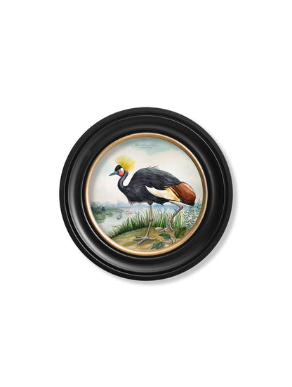 Audubon Style Cranes in Round Frames styled view – Leya Buster Interiors