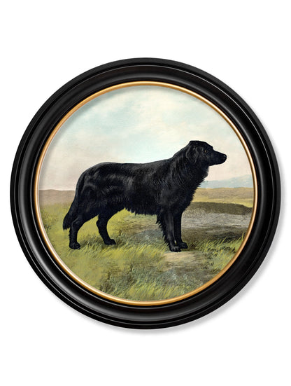 c.1881 Working Dogs – Round Frame styled view – Leya Buster Interiors