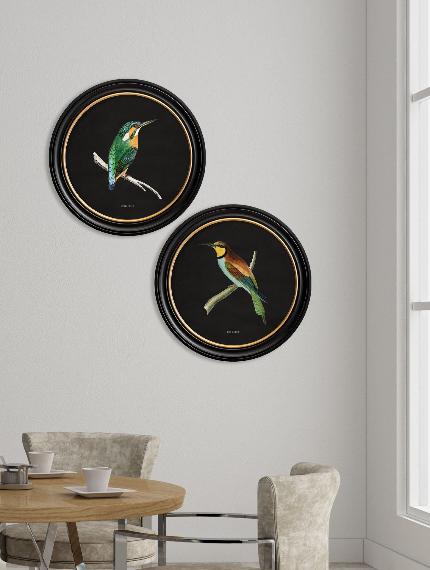 c.1870 Kingfisher and Bee Eater – Black – framed wall art at Leya Buster Interiors