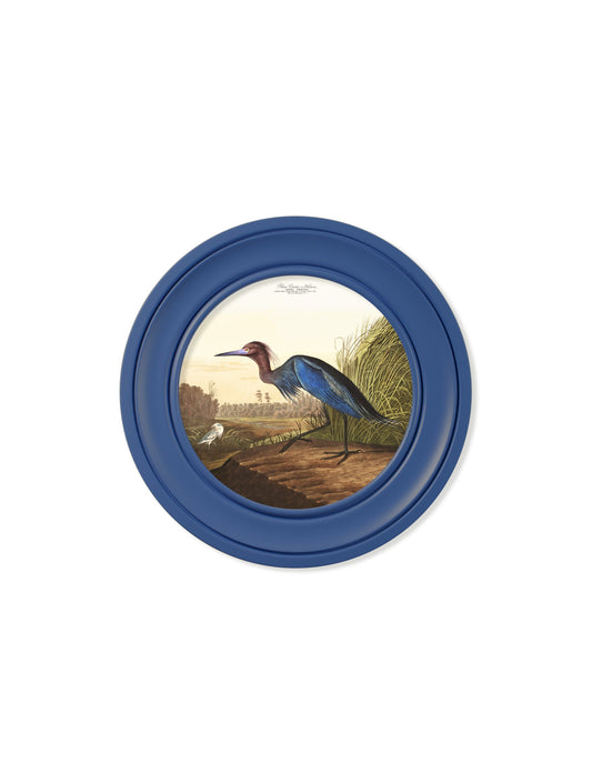 c.1838 Audubon's Blue Heron in Blue Frame – framed wall art at Leya Buster Interiors