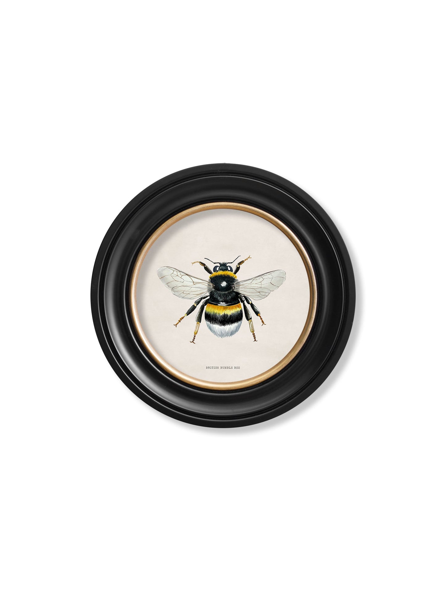 c1892 British Bees Round Frame styled view – Leya Buster Interiors