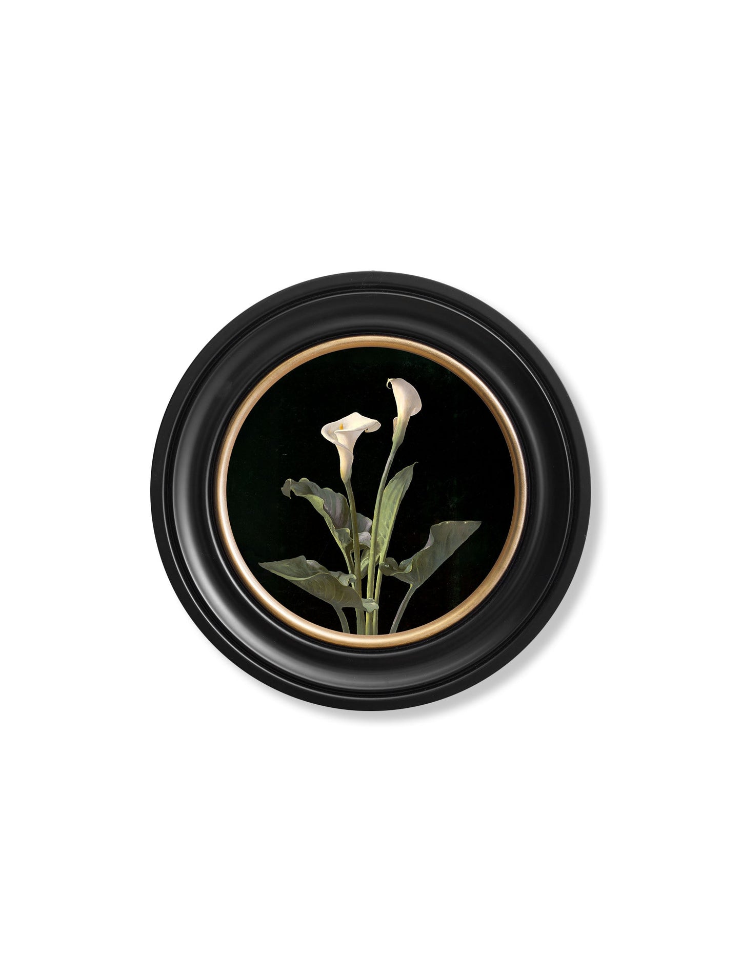 c.1874 George Cochran Lambdin Lillys – Round Frame styled view – Leya Buster Interiors