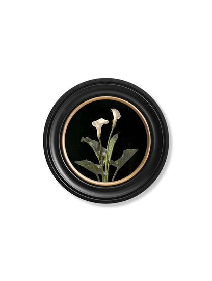 c.1874 George Cochran Lambdin Lillys – Round Frame styled view – Leya Buster Interiors