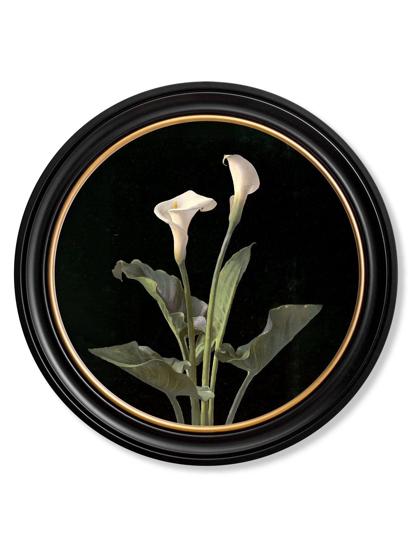 c.1874 George Cochran Lambdin Lillys – Round Frame styled view – Leya Buster Interiors