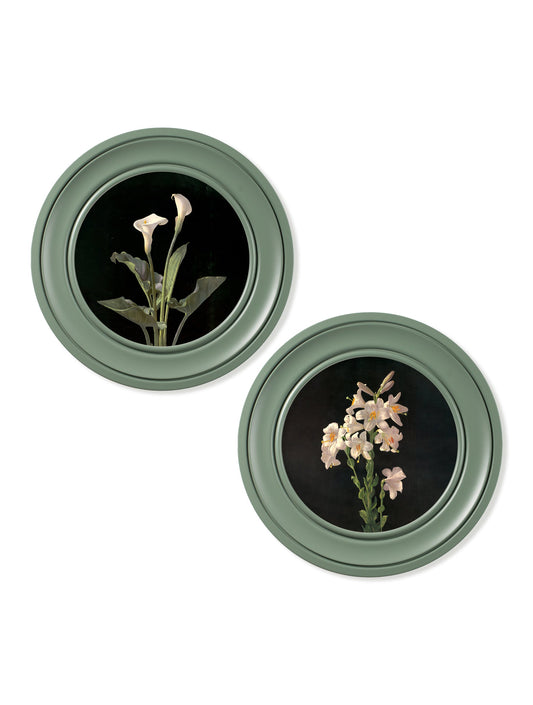 c.1874 George Cochran Lambdin Lillys – Round Frame Green – framed wall art at Leya Buster Interiors