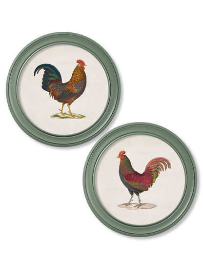 c.1838 Junglefowl in Round Frames Green detail – Leya Buster Interiors