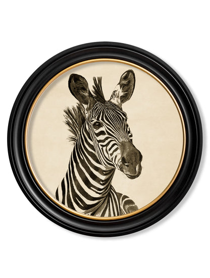 c1890 Zebra Illustrations in Round Frame – Dark styled view – Leya Buster Interiors