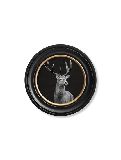 Wildlife Photography – Red Deer – Round Frame styled view – Leya Buster Interiors