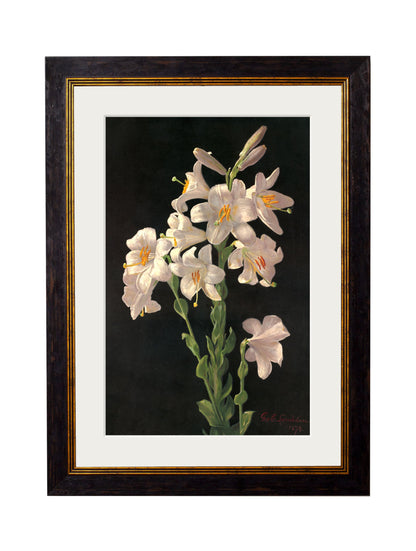 c.1874 George Cochran Lambdin Lillys styled view – Leya Buster Interiors