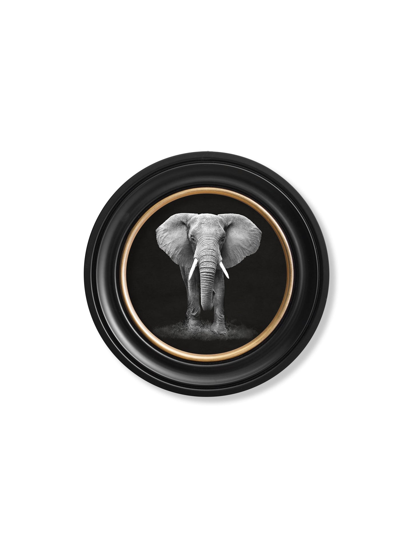 Wildlife Photography – Elephant – Round Frame styled view – Leya Buster Interiors