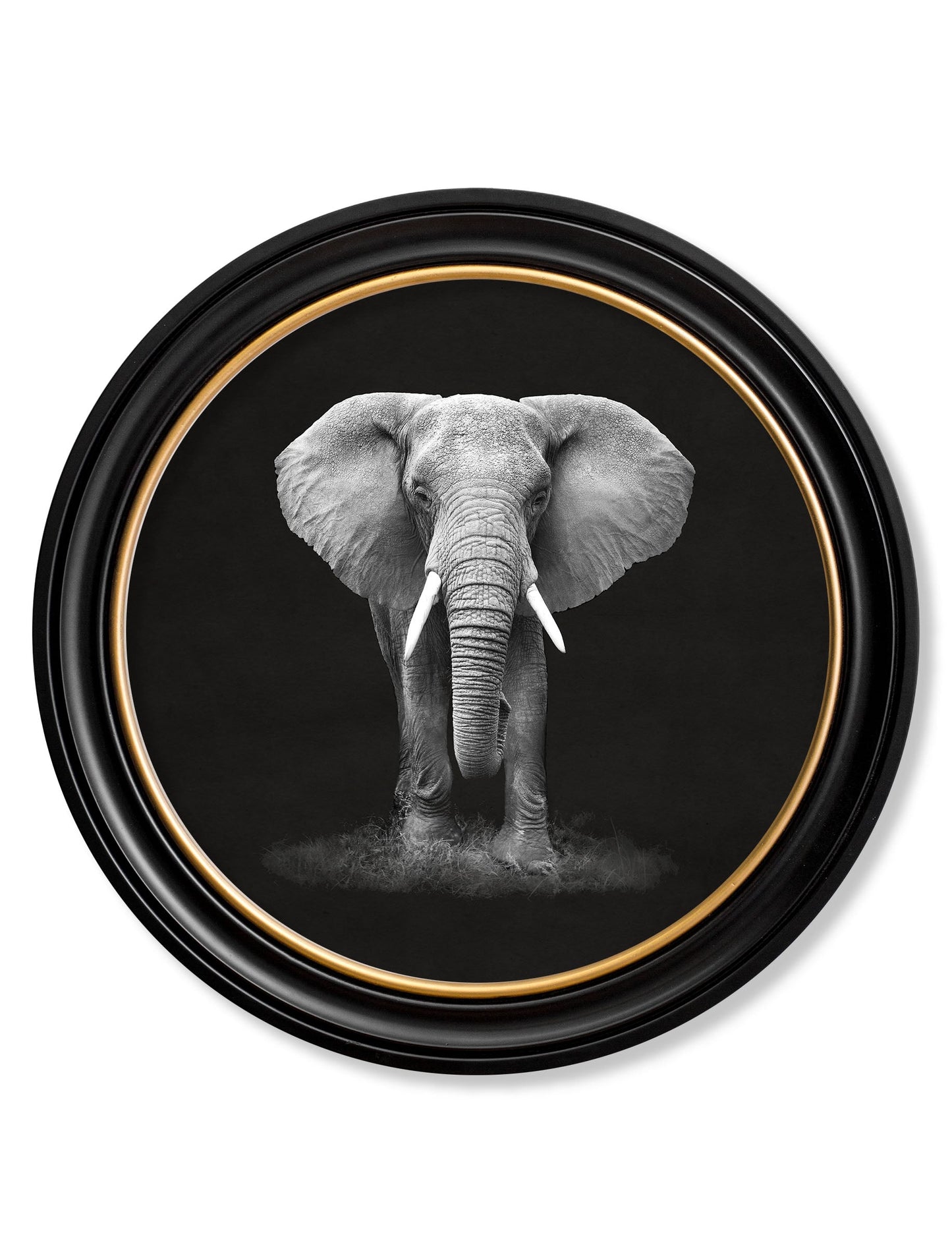 Wildlife Photography – Elephant – Round Frame detail – Leya Buster Interiors
