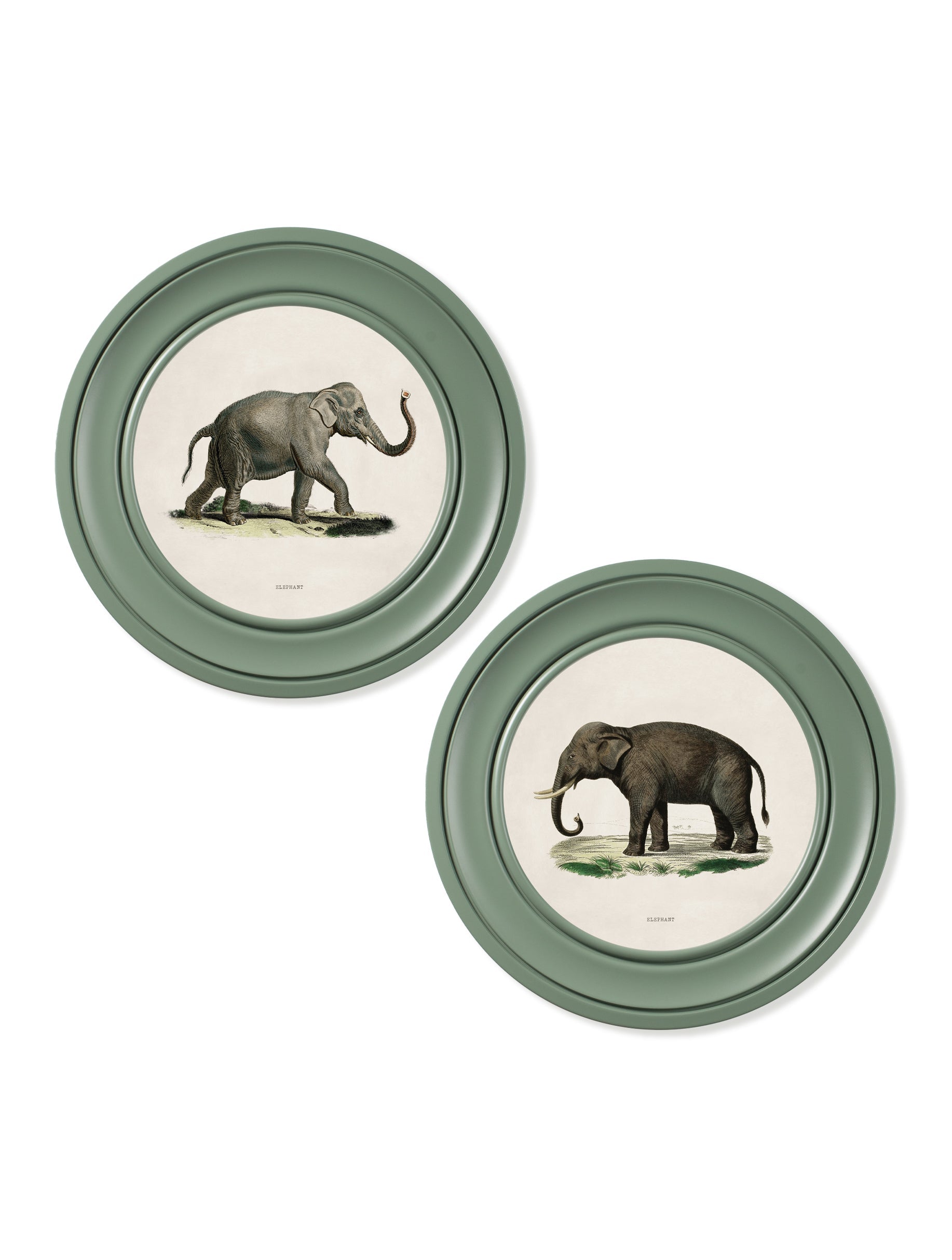 c.1846 Elephants in Round Frame Green – framed wall art at Leya Buster Interiors