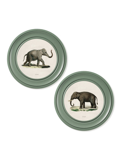 c.1846 Elephants in Round Frame Green – framed wall art at Leya Buster Interiors