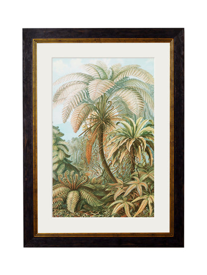 C.1904 Study Of Ferns – Ernst Haeckel detail – Leya Buster Interiors