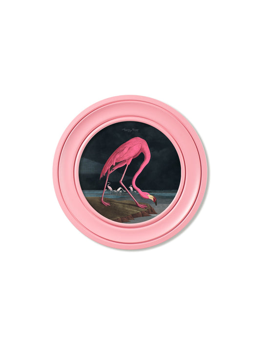 c.1838 Audubon's Flamingo – Dark – Round Frame Pink – framed wall art at Leya Buster Interiors