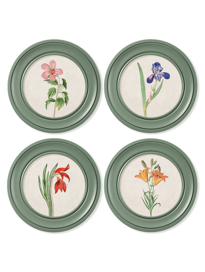 c.1780 Flowering Plants Round Frame Green – framed wall art at Leya Buster Interiors