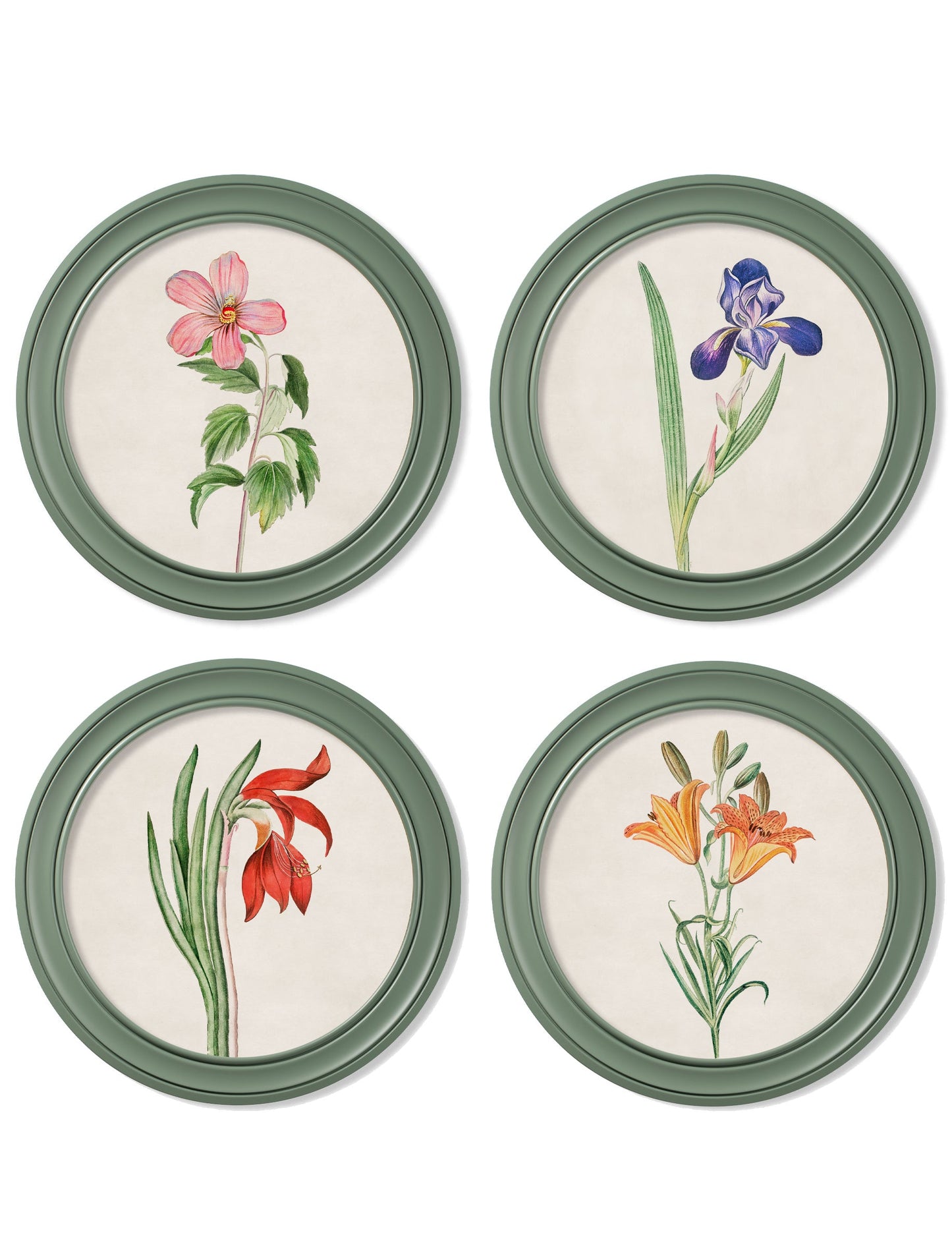 c.1780 Flowering Plants Round Frame Green detail – Leya Buster Interiors