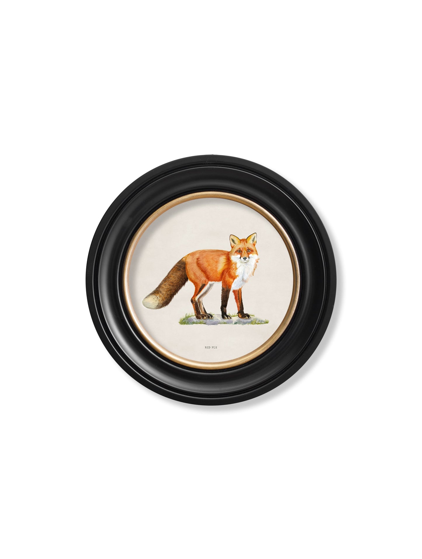 Red Fox – Round Frame styled view – Leya Buster Interiors